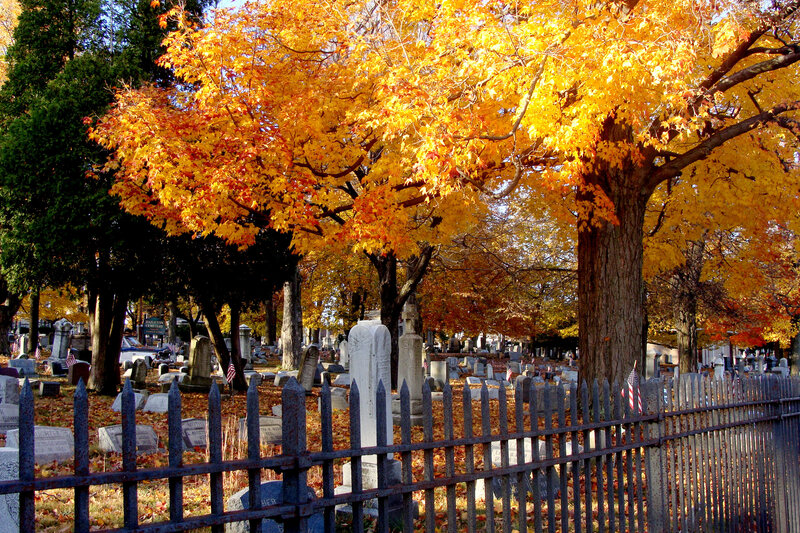 Autumn Leaves in Cemetery