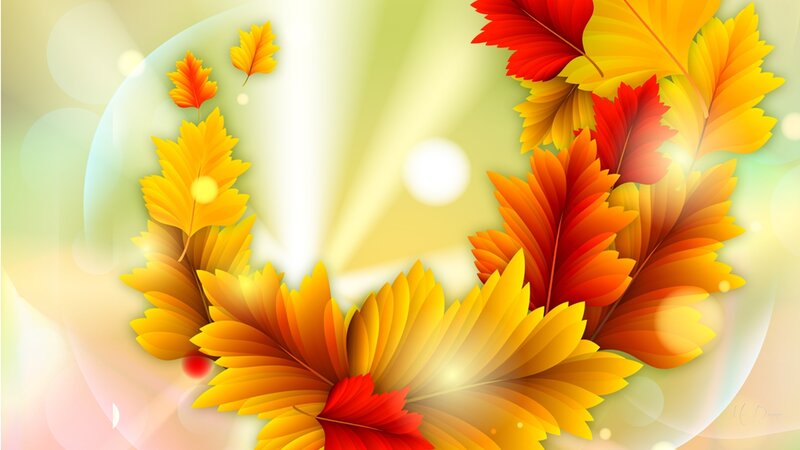 Autumn Leaves in Circle