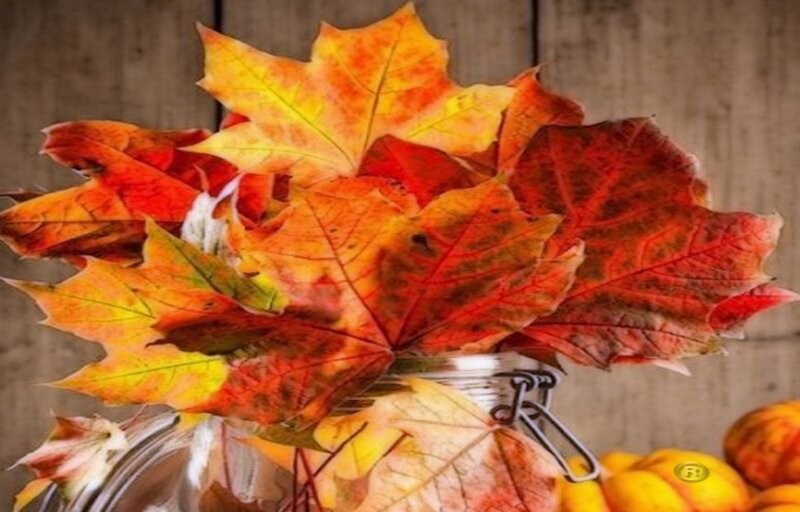 Autumn Leaves in Jar — Red