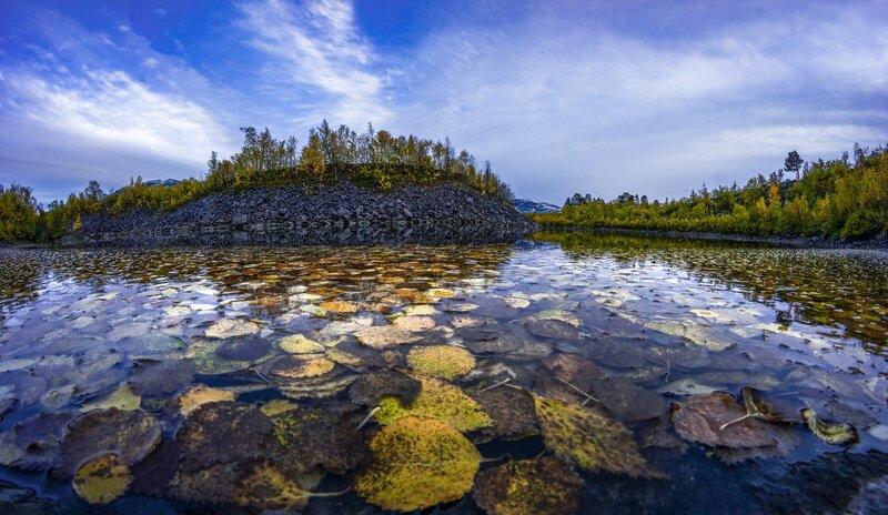 Autumn Leaves in Lake