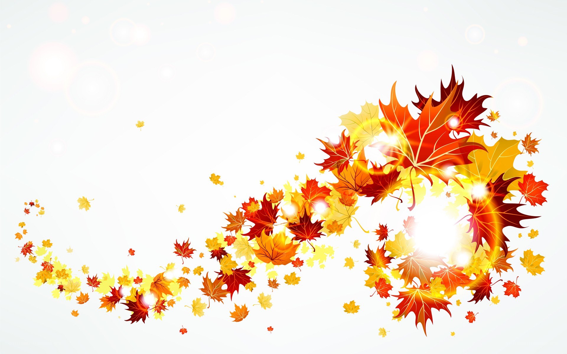 autumn leaves in motion