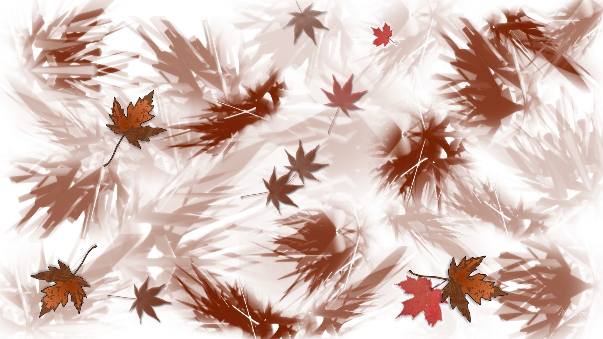 Autumn leaves in motion