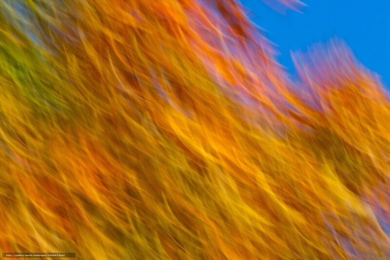 Autumn Leaves in Motion — Orange, Dynamic