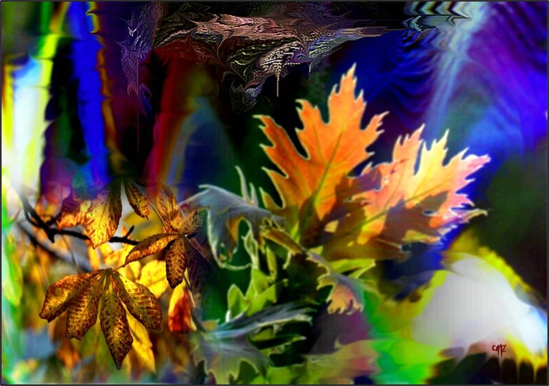 Autumn Leaves in Motion — Orange, Vibrant