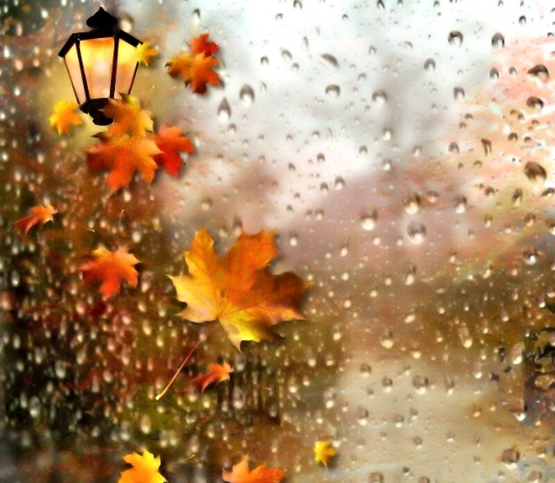 Autumn Leaves in Rain — Orange, Melancholic