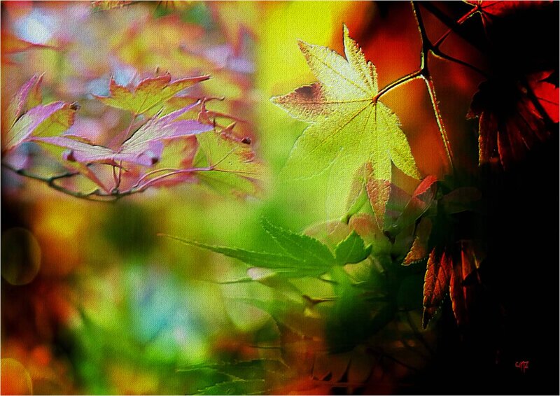 Autumn Leaves in Sunlight — Green