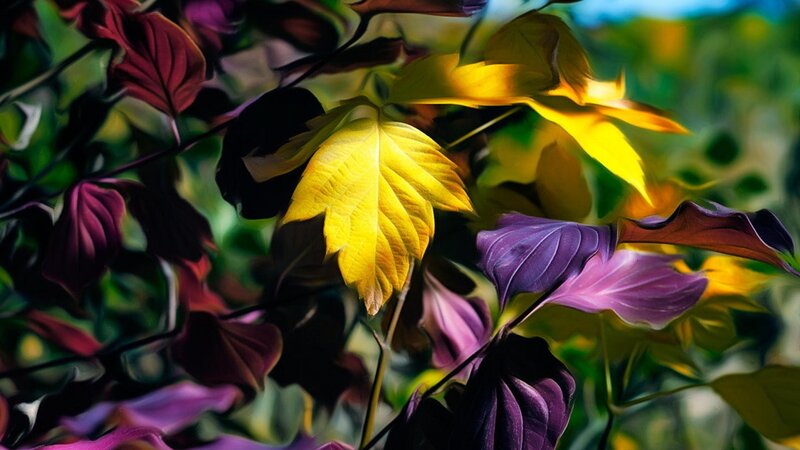 Autumn Leaves in Sunlight — Yellow, Dramatic, Digital Art