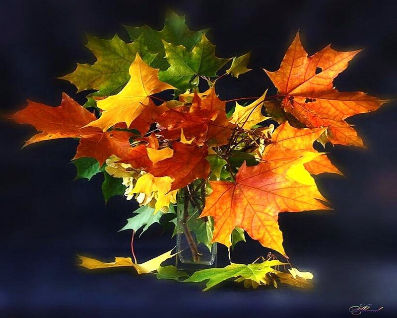 Autumn Leaves in Vase — Orange, Dramatic