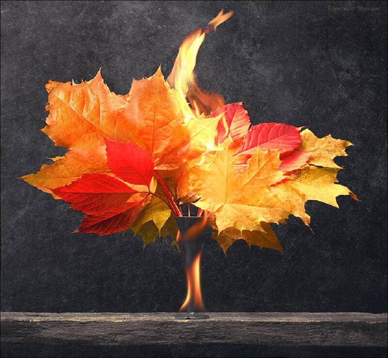 Autumn Leaves in Vase — Orange