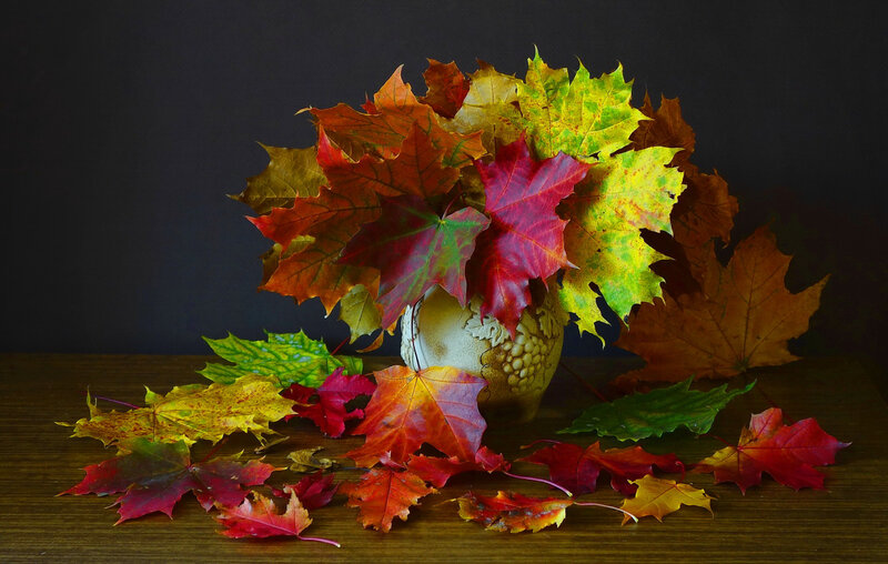 Autumn Leaves in Vase — Red, Dramatic