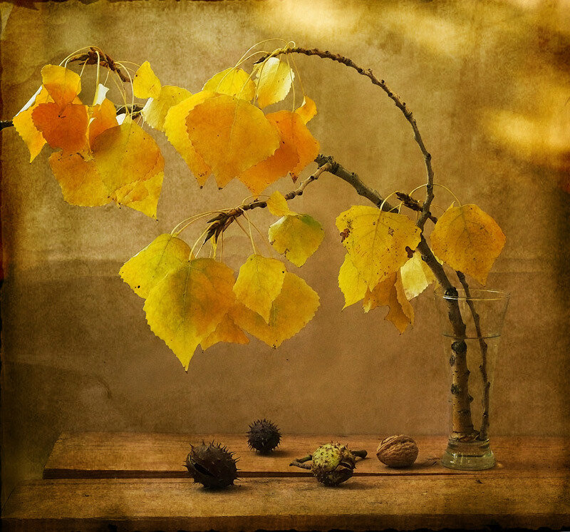 Autumn Leaves in Vase — Yellow, Calm, Photograph