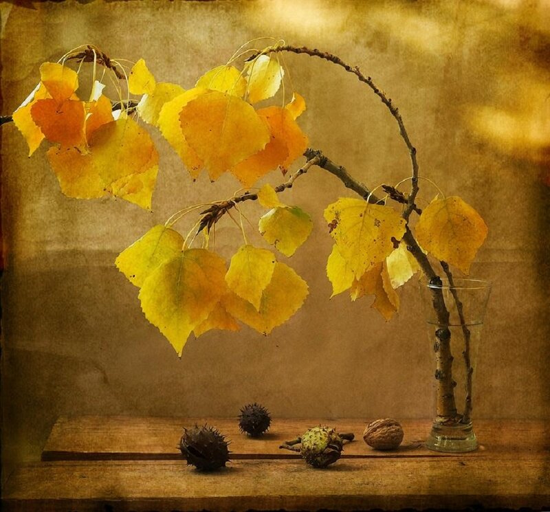 Autumn Leaves in Vase — Yellow, Calm