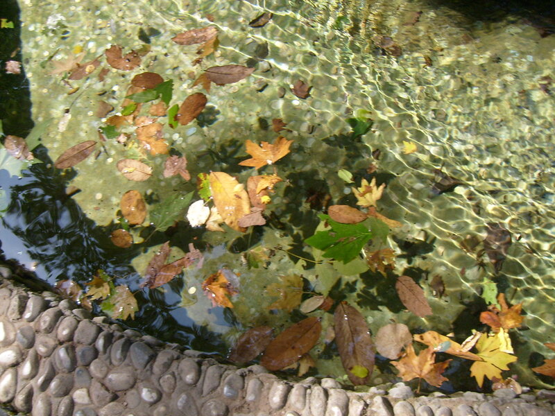 Autumn Leaves in Water — Green