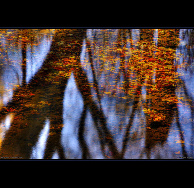 Autumn Leaves in Water — Orange, Serene