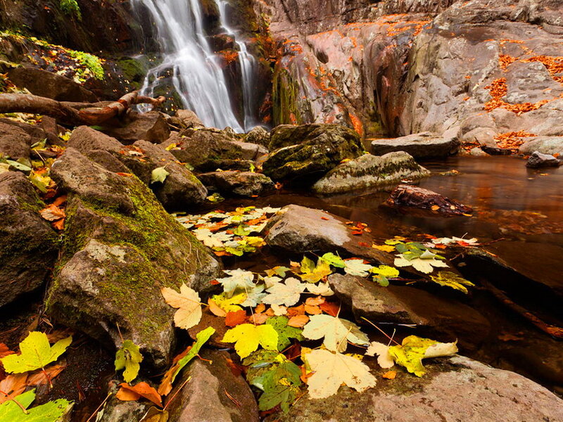 Autumn Leaves in Waterfall