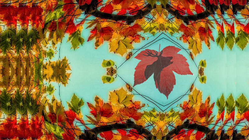 Autumn Leaves Kaleidoscope