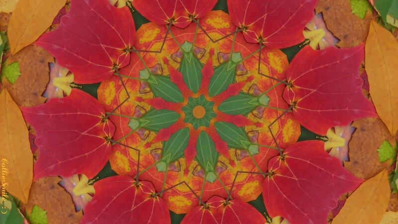 Autumn Leaves Mandala