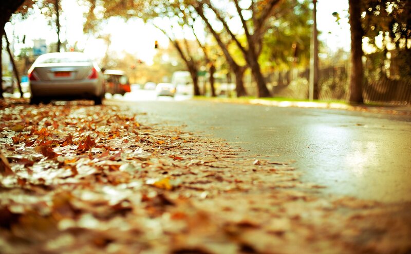 Autumn leaves on a city street