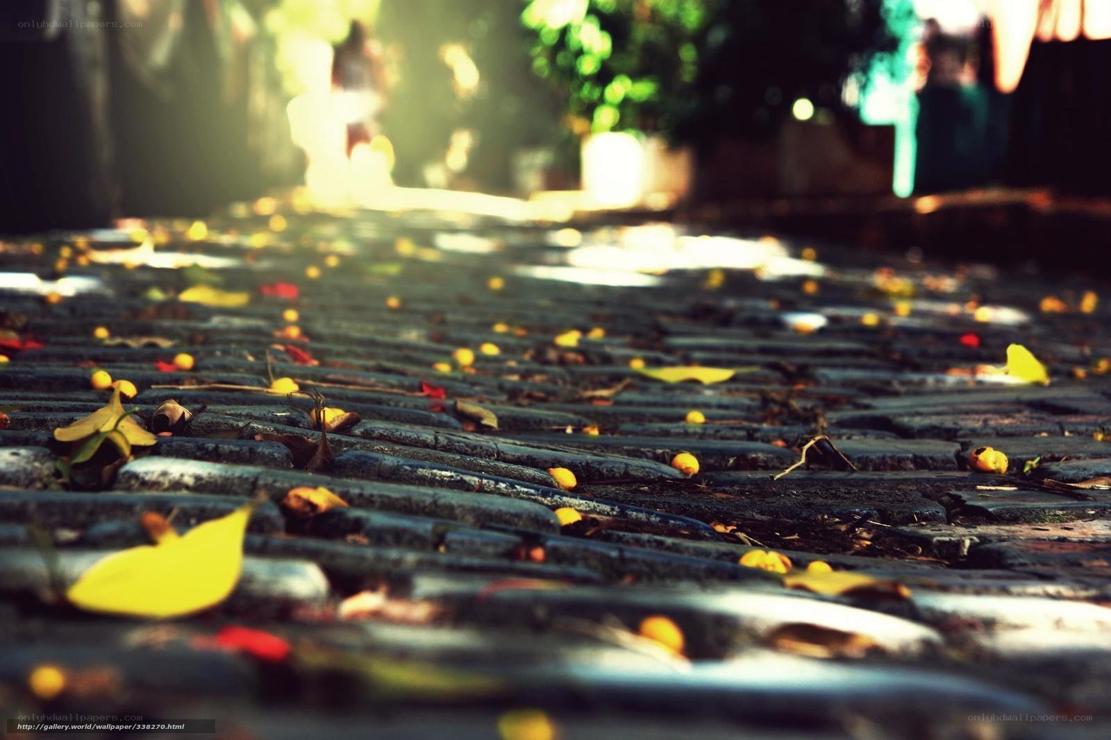 Autumn leaves on a cobblestone path