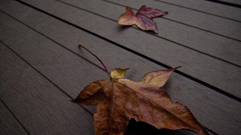 Autumn leaves on a deck