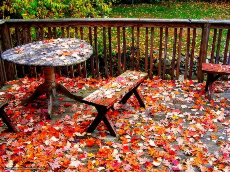 Autumn leaves on a deck