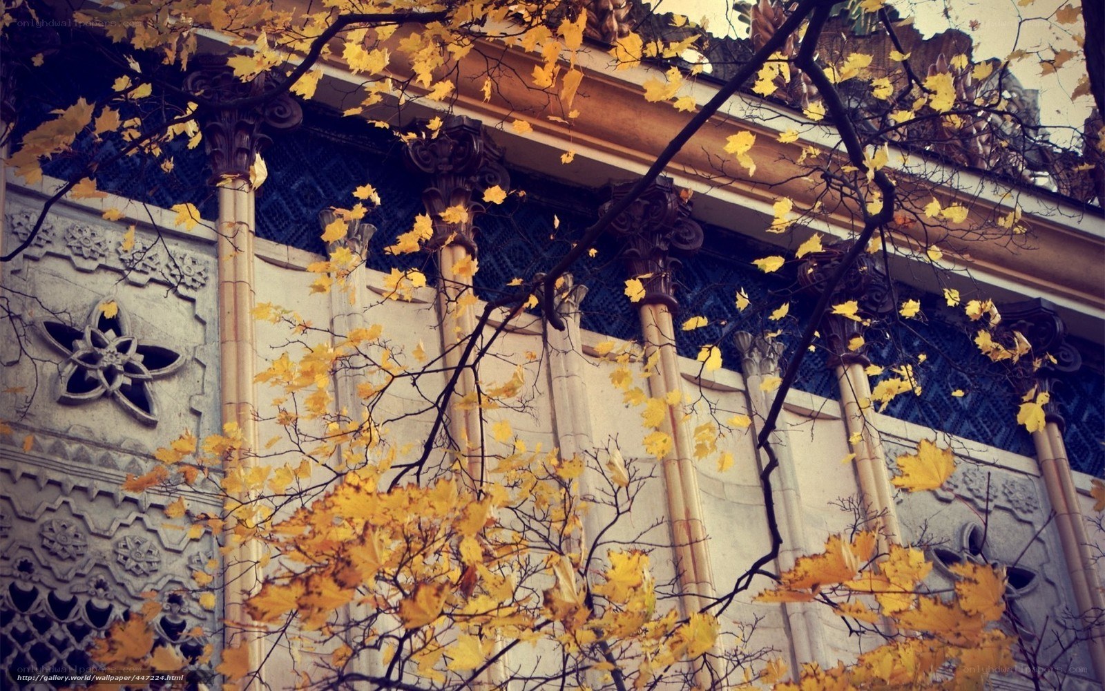 Autumn leaves on a historic building
