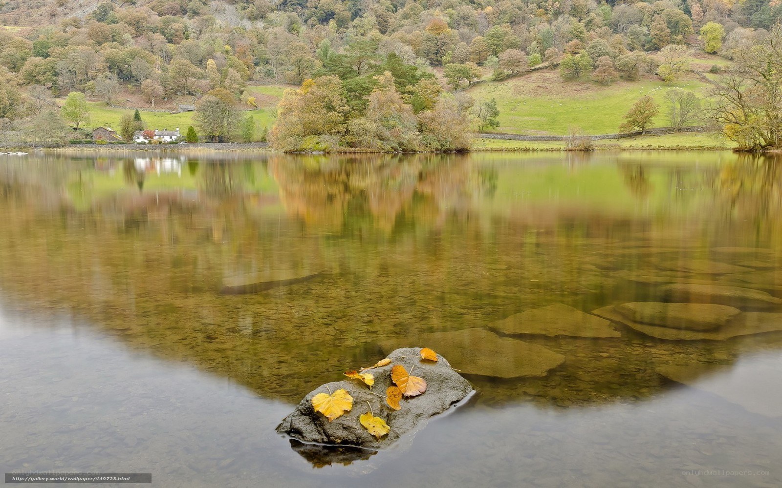 Autumn leaves on a lake rock