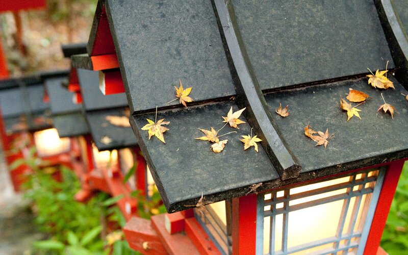 Autumn leaves on a lantern roof