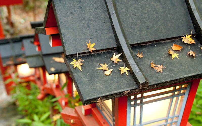 Autumn leaves on a lantern roof