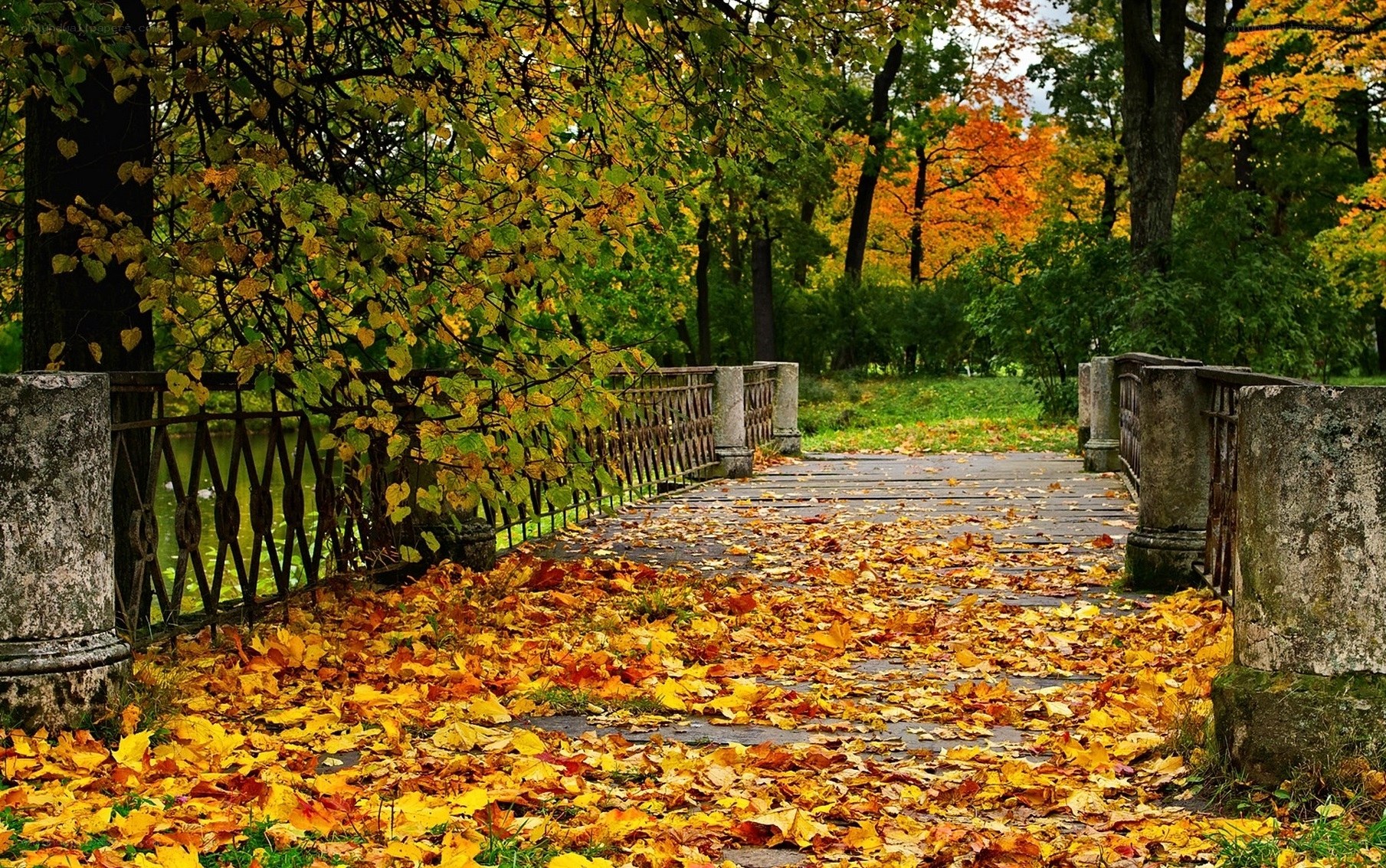 Autumn leaves on a park bridge