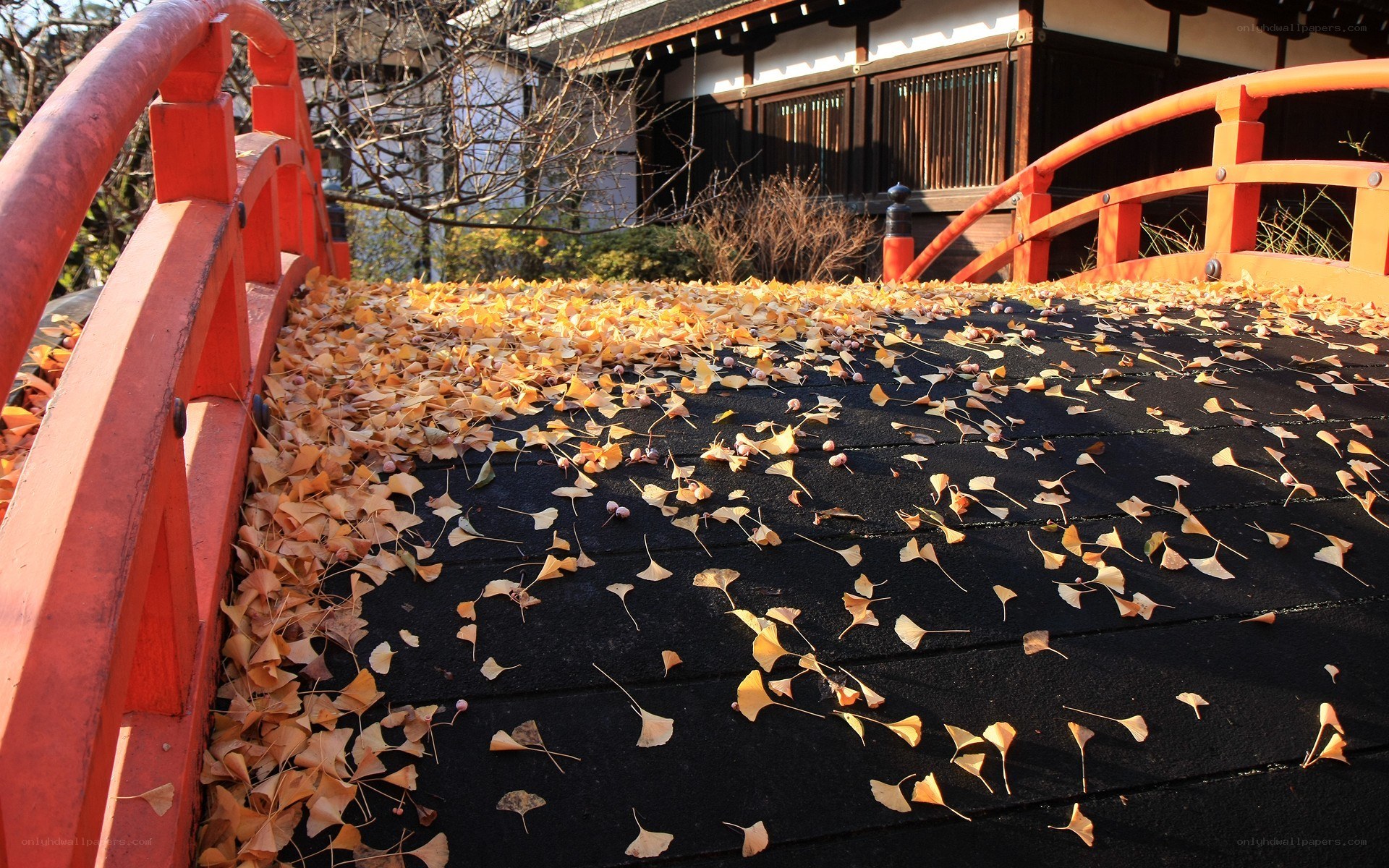 Autumn leaves on a red bridge