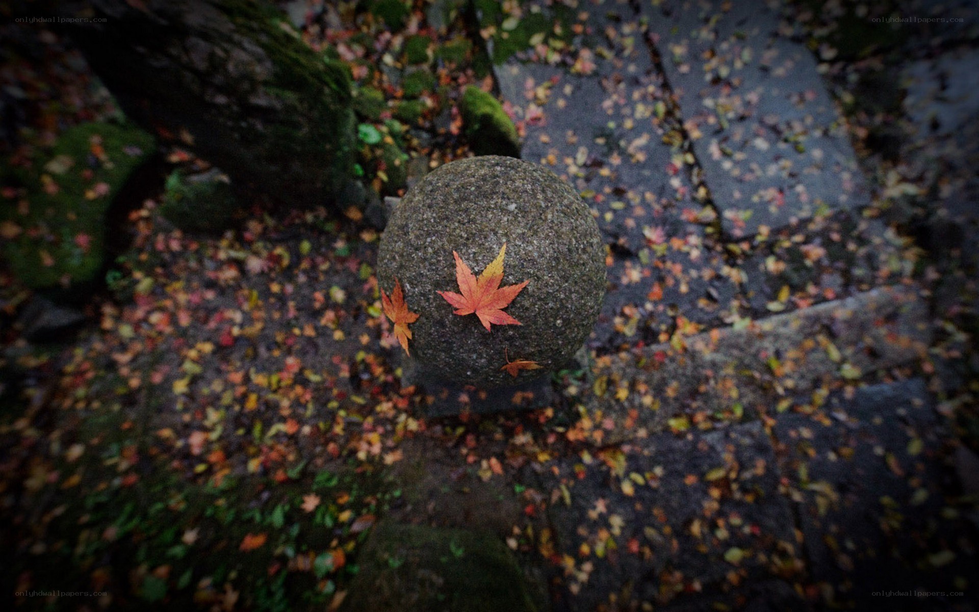 Autumn leaves on a stone sphere