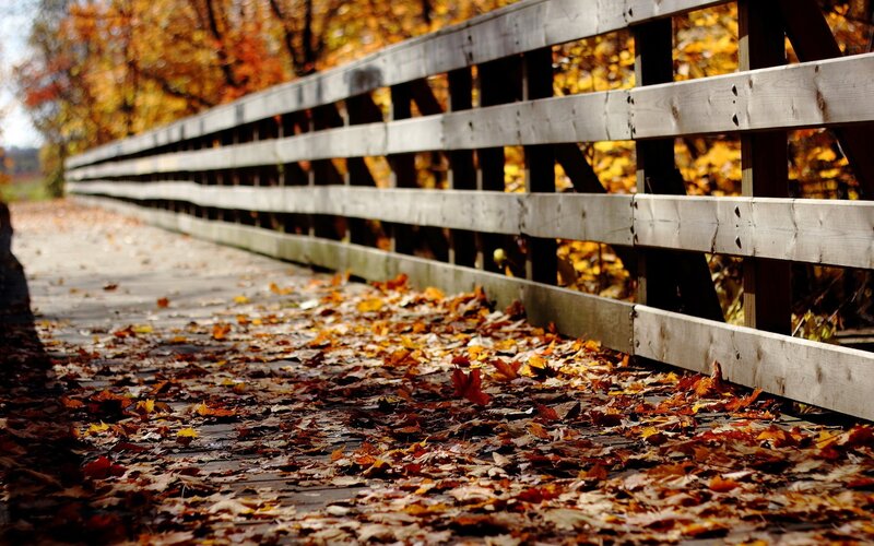 Autumn leaves on a wooden bridge