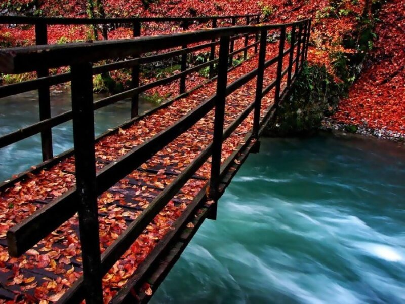 Autumn leaves on a wooden bridge