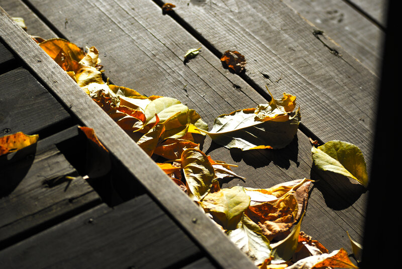 Autumn leaves on a wooden deck