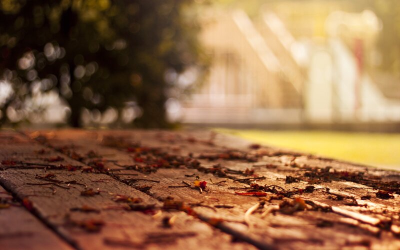 autumn leaves on a wooden surface