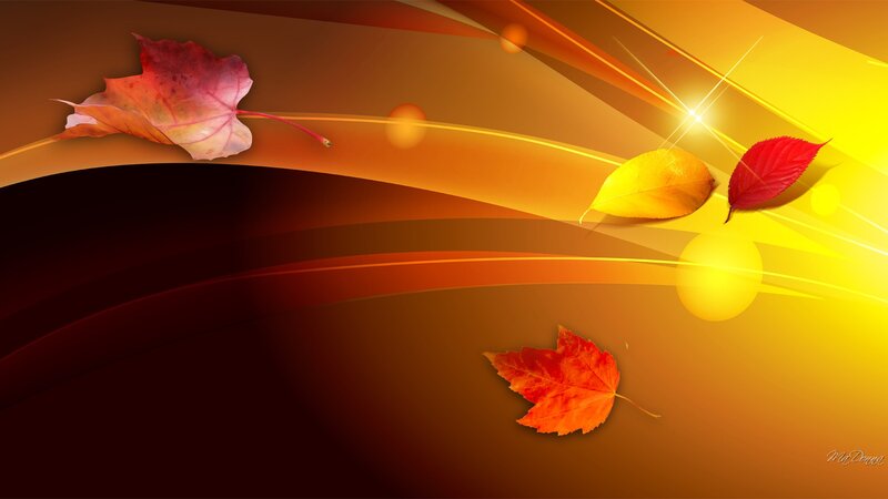 Autumn Leaves on Abstract Background — Orange