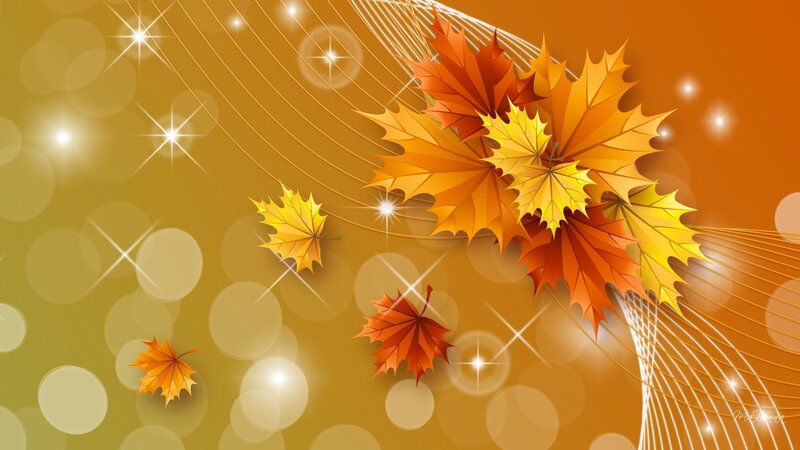 Autumn Leaves on Background