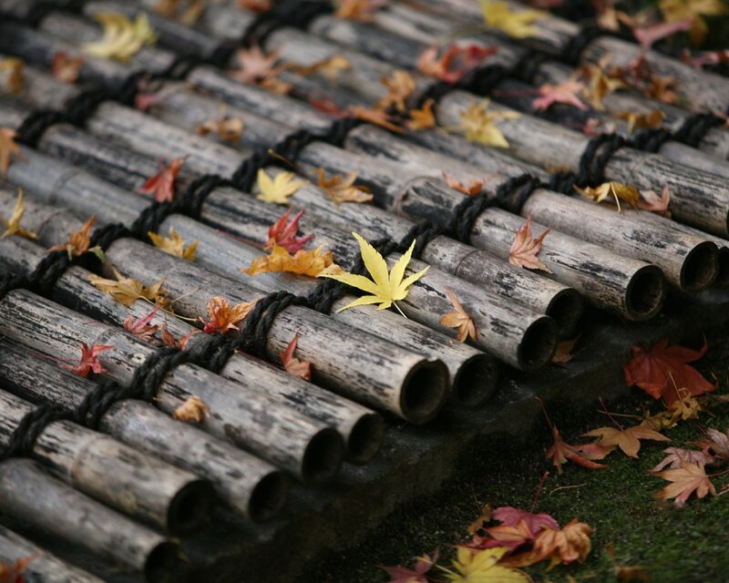 Autumn leaves on bamboo mat