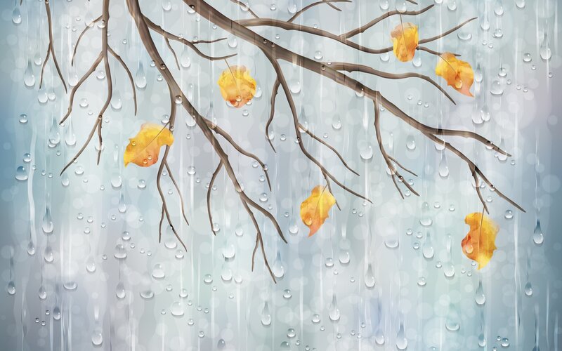 Autumn Leaves on Branches — Gray