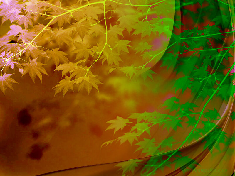 Autumn Leaves on Branches — Green
