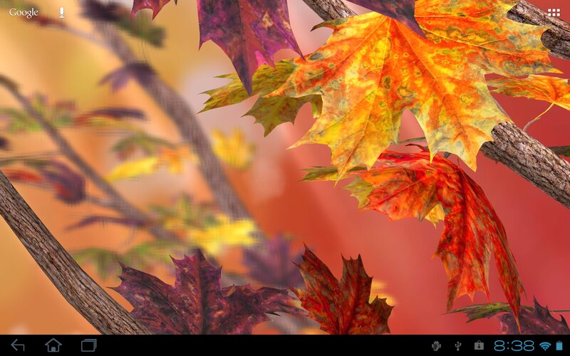 Autumn Leaves on Branches — Orange, Calm, Digital Art
