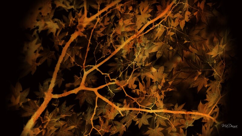 Autumn Leaves on Branches — Orange, Dramatic, Digital Art