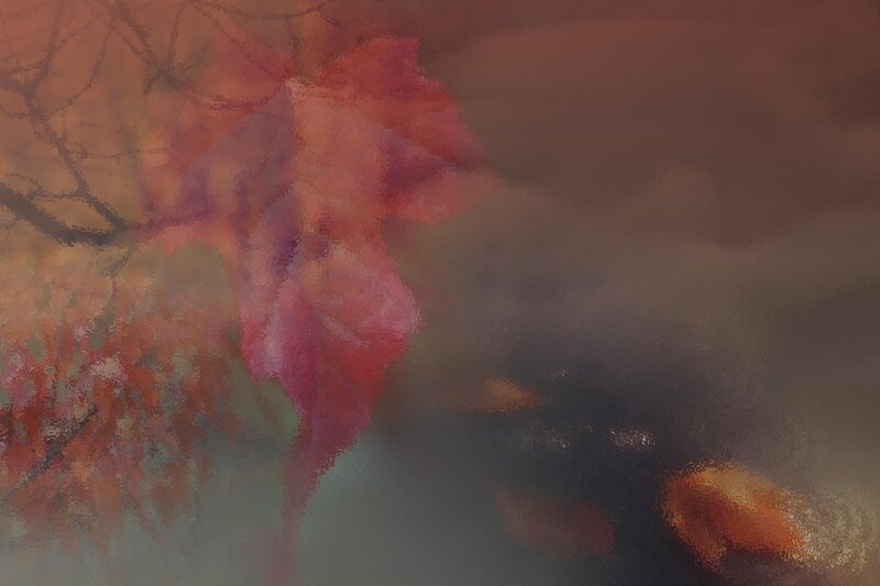 Autumn Leaves on Branches — Red, Dreamy