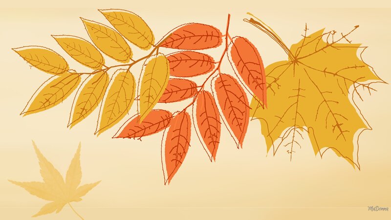 Autumn Leaves on Branches — Yellow, Calm