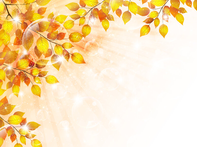 Autumn Leaves on Branches — Yellow, Warm