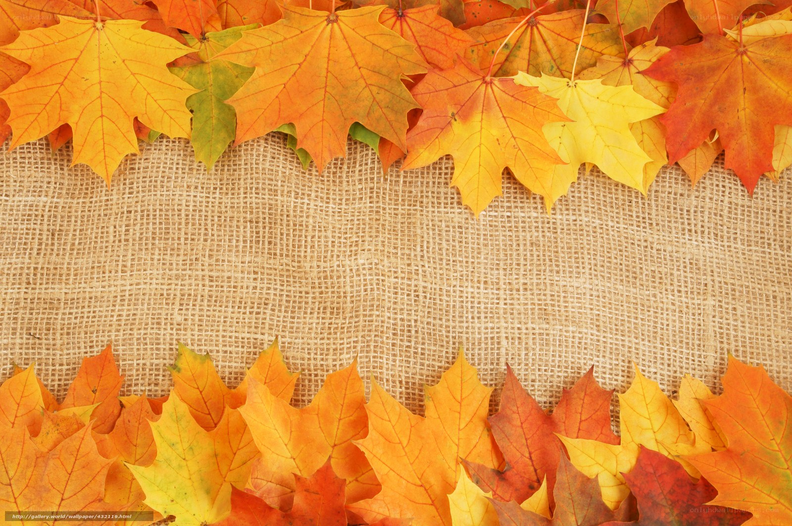 autumn leaves on burlap