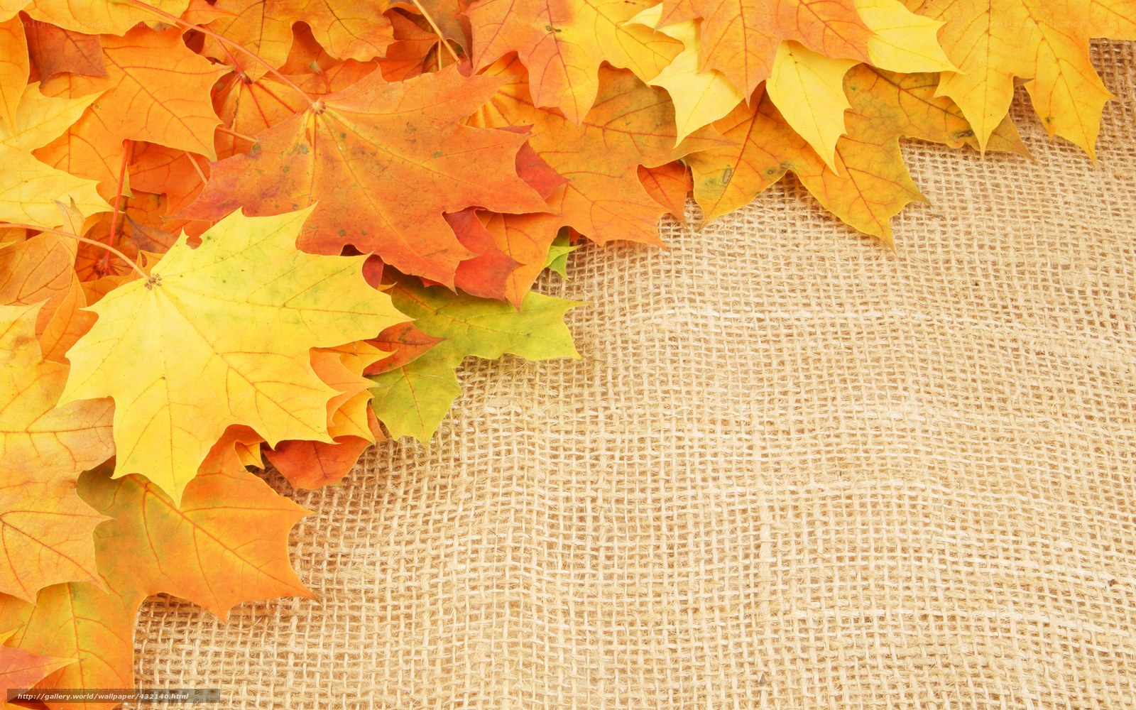 autumn leaves on burlap