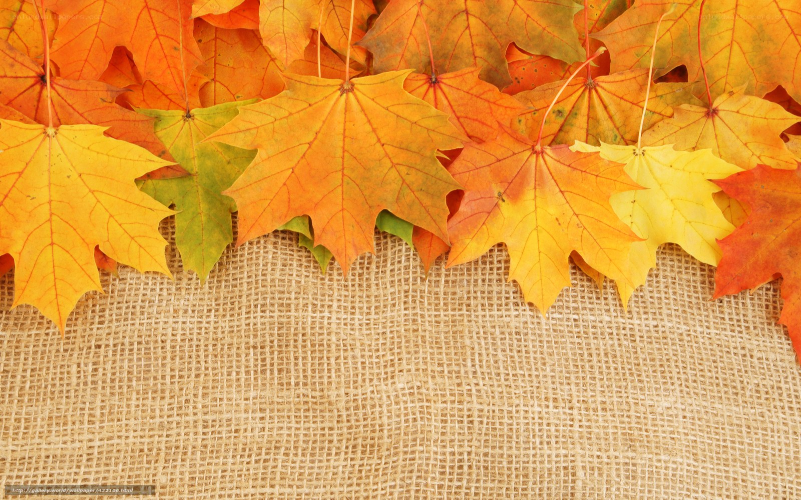 autumn leaves on burlap