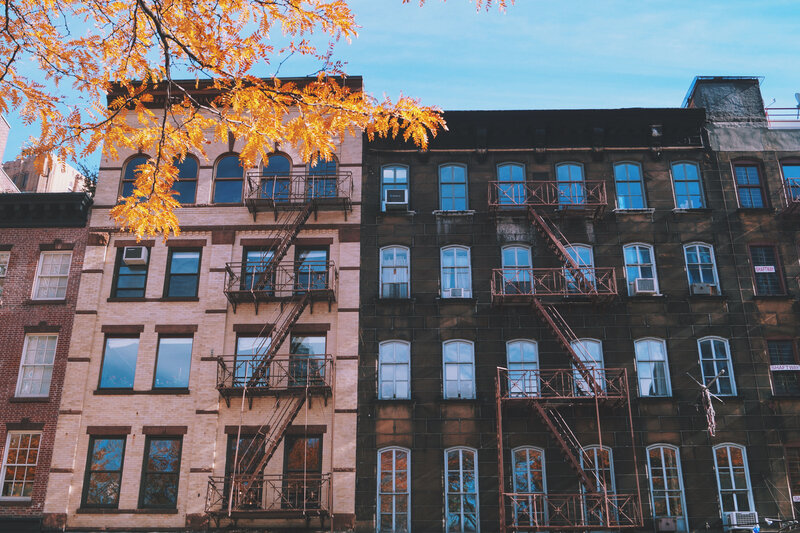 Autumn leaves on city buildings